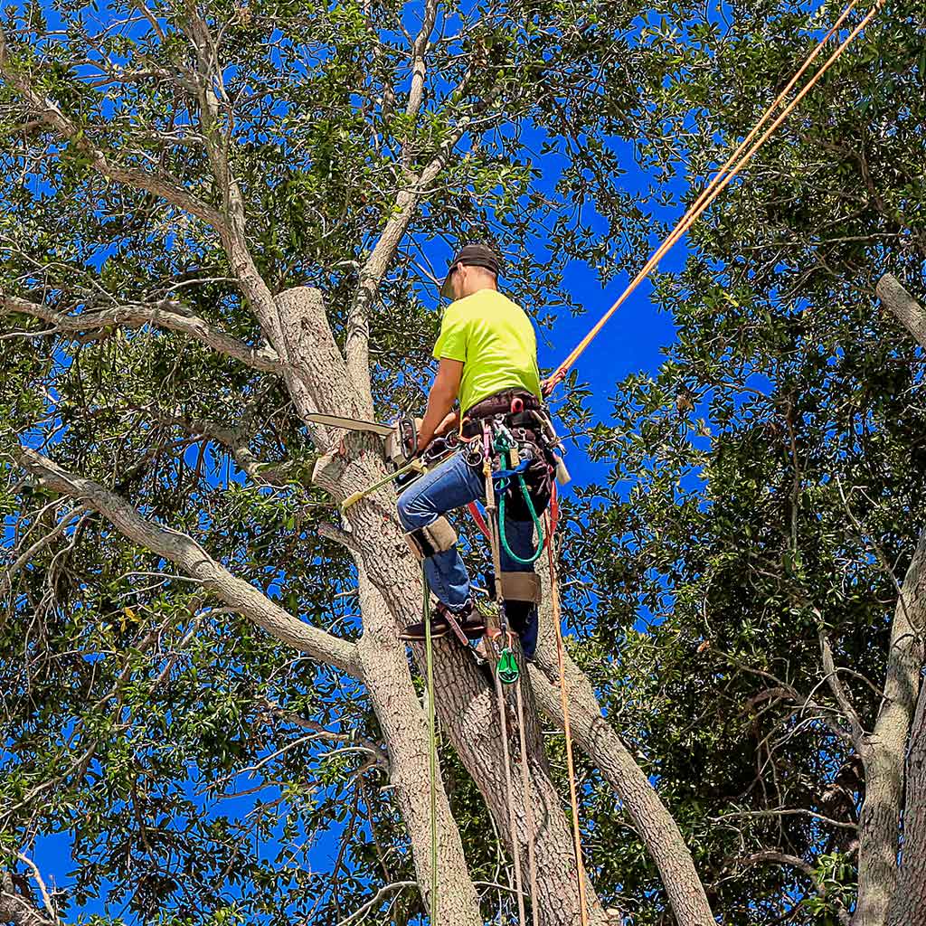 high risk industries strong arm safety